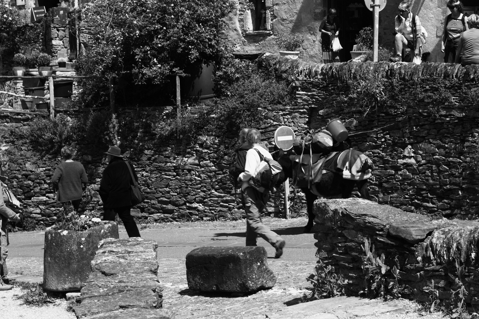 sur le chemin de l'âne..