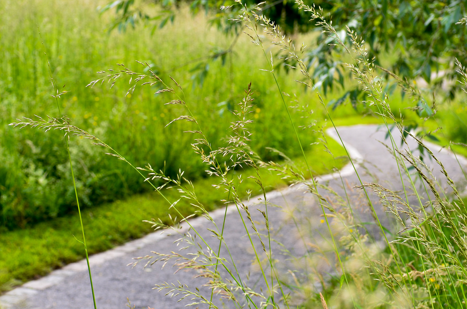 sur le chemin des jardins