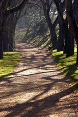 Sur le chemin du Clain