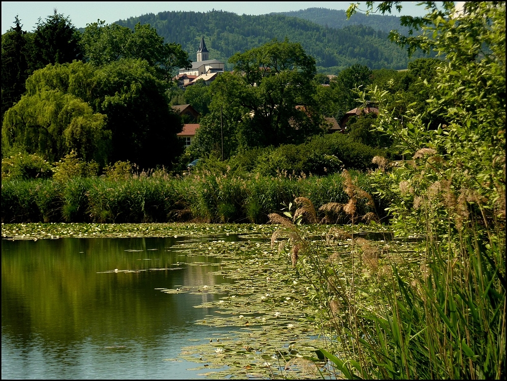 Sur le chemin du retour !