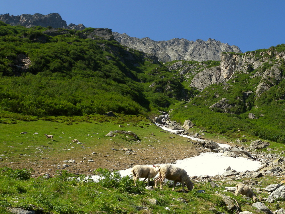 Sur le chemin vers le lac du "Trift"..01