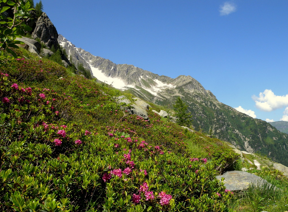 Sur le chemin vers le lac du "Trift"..03