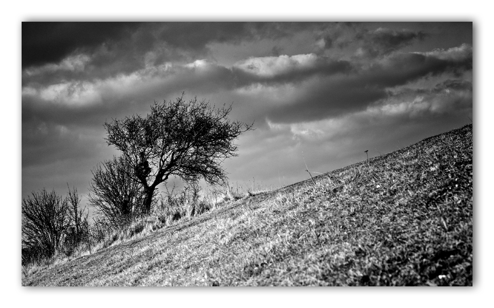 Sur le flanc de la colline