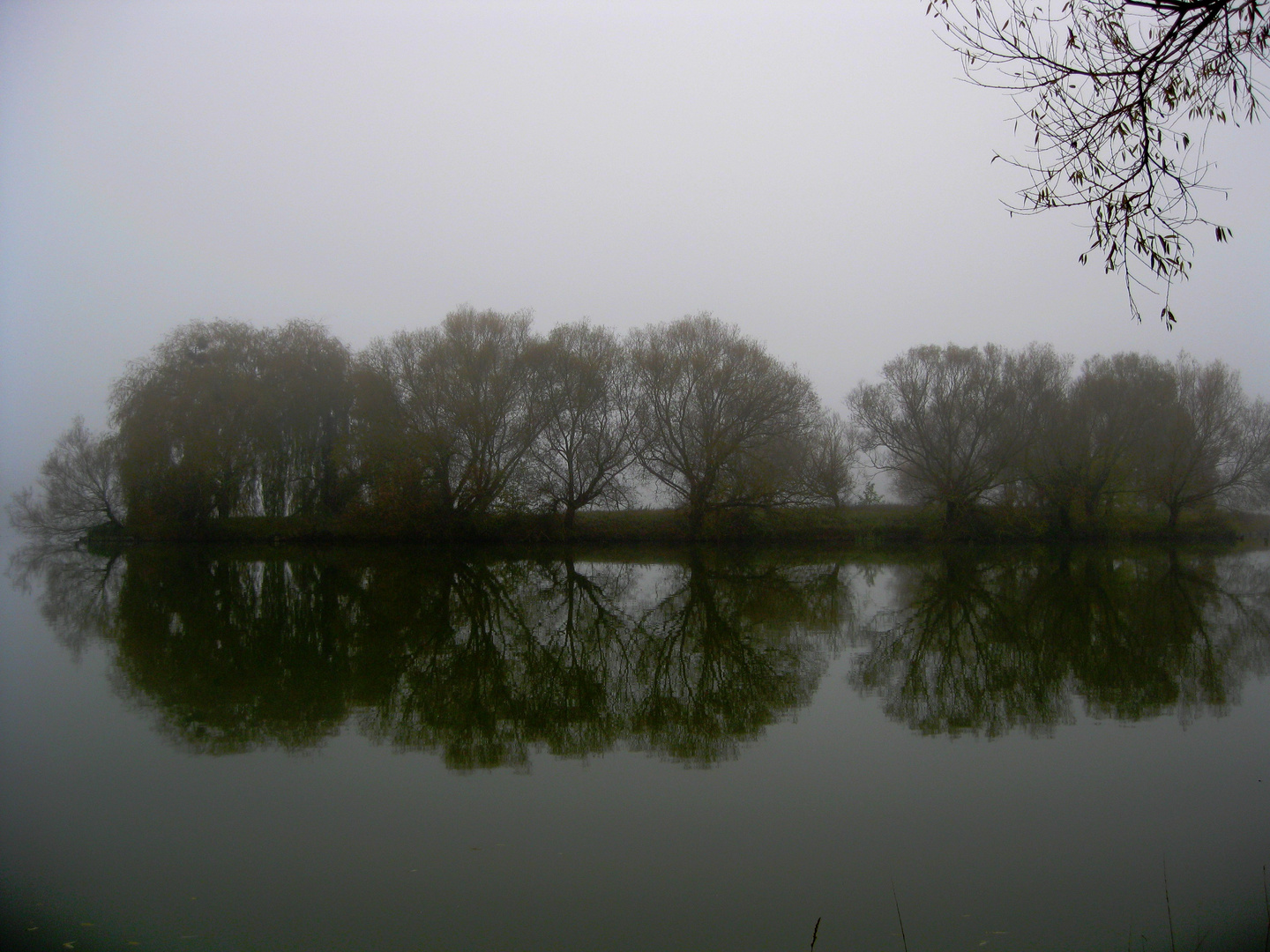 sur le lac 