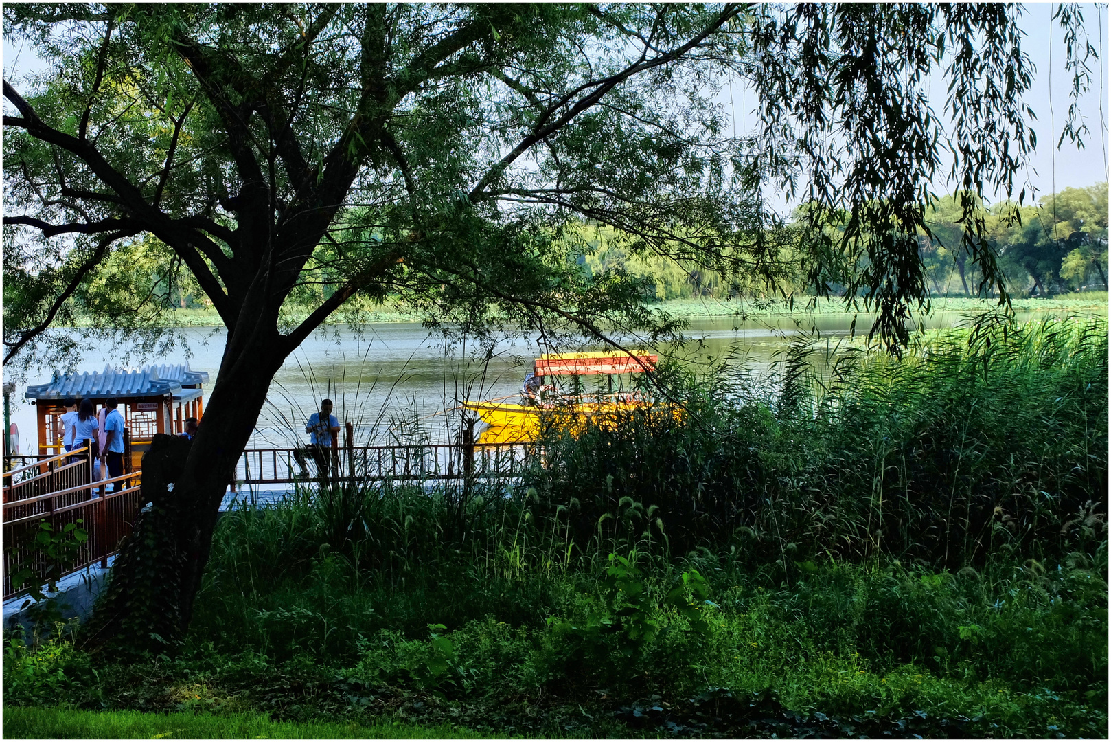 Sur le lac