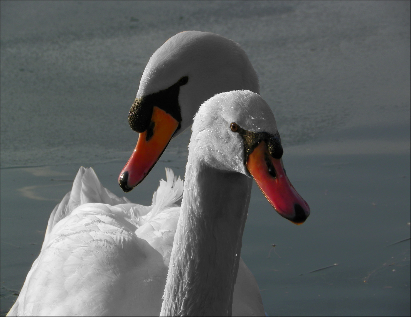 Sur le lac gelé .