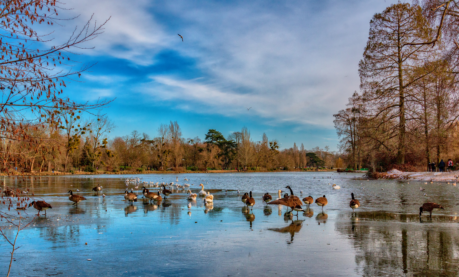 Sur le lac gelé . 