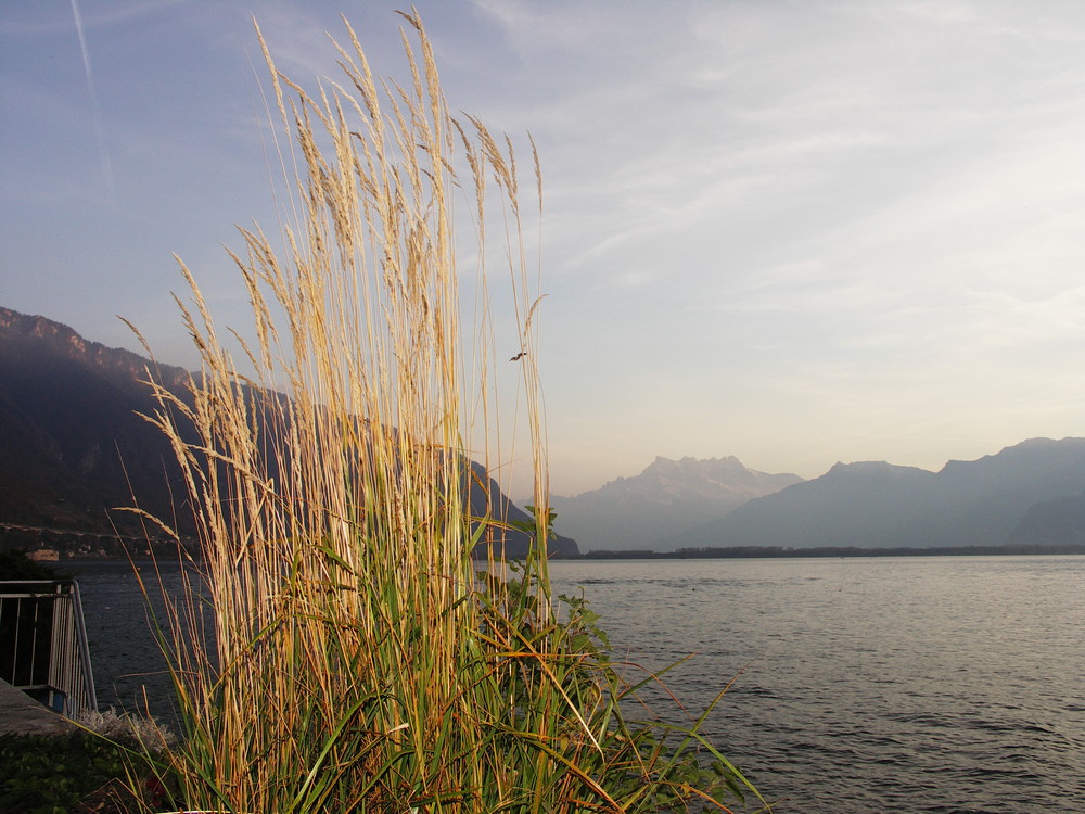 SUR LE LAC LEMAN