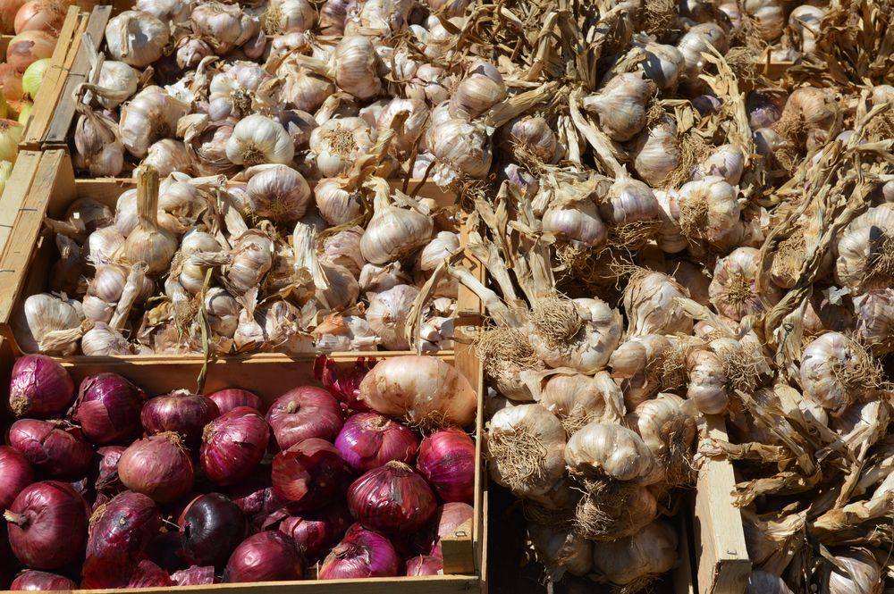 sur le marché