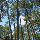 Sur le parking de la plage de Mimizan Lespecier