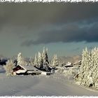 sur le plateau de Trèlemont