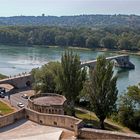 Sur le pont d’Avignon