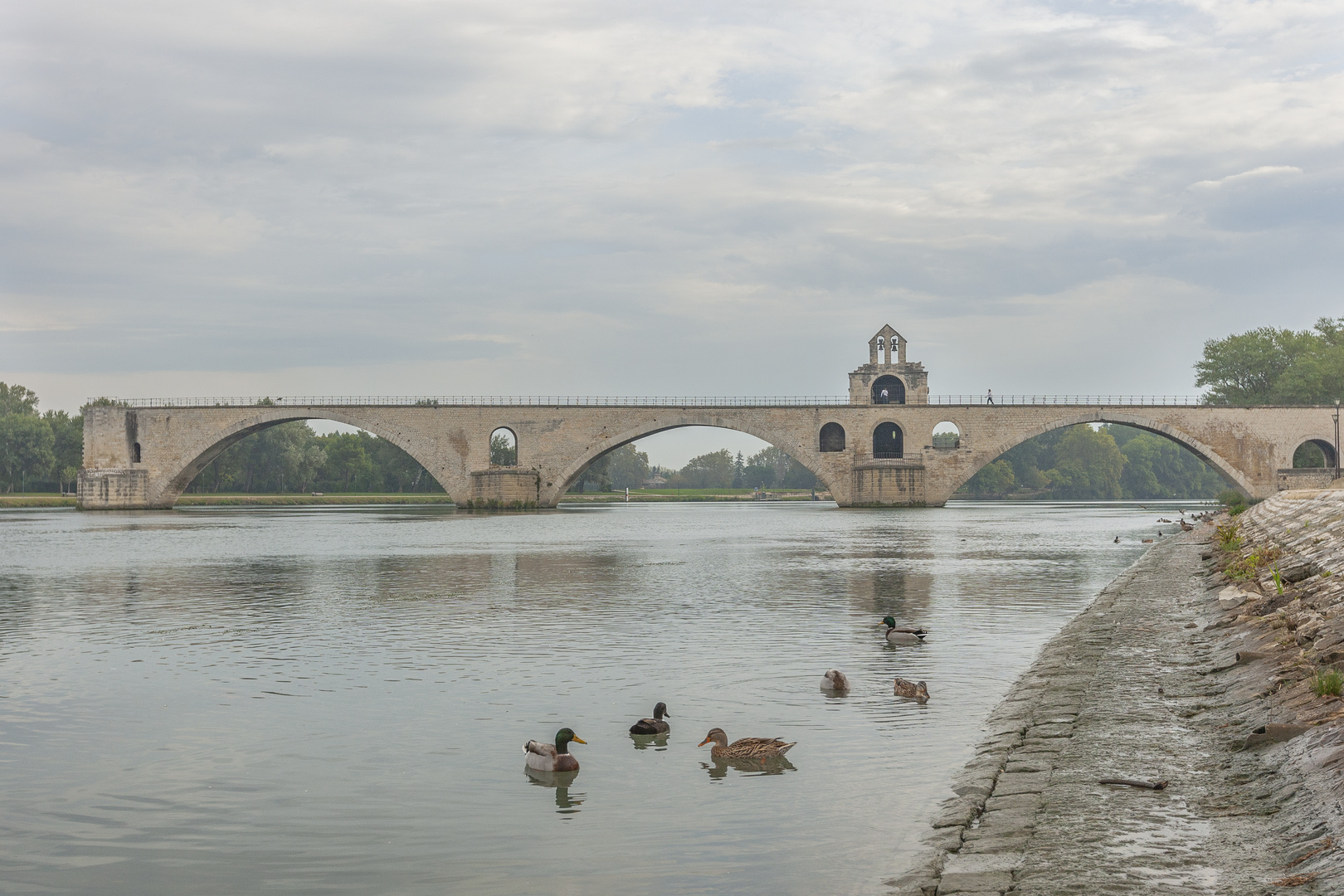 Sur le pont, d'Avignon