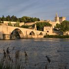 Sur le pont d´Avignon...