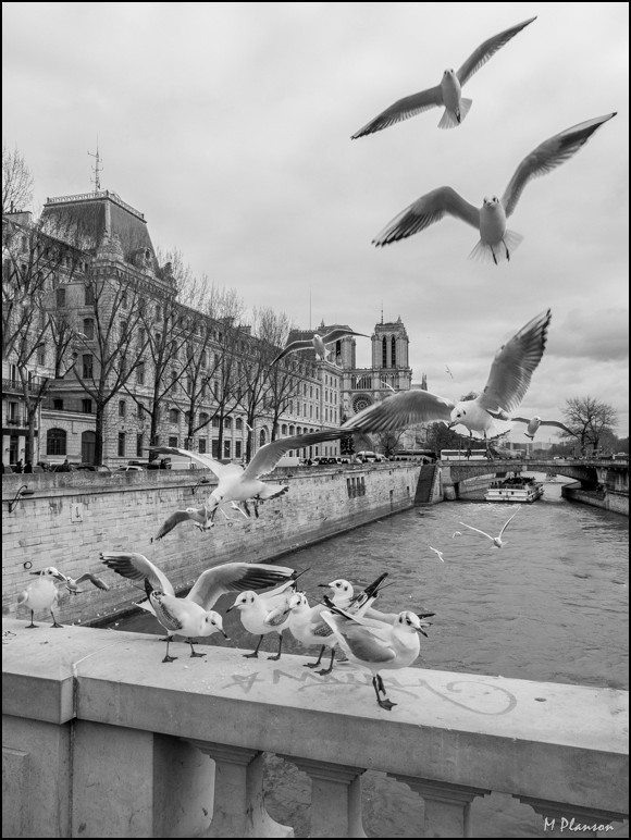 Sur le Pont St Michel