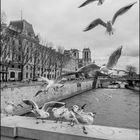 Sur le Pont St Michel