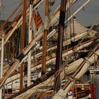 Sur le port de Bandol, il y à des mâts qui chantent