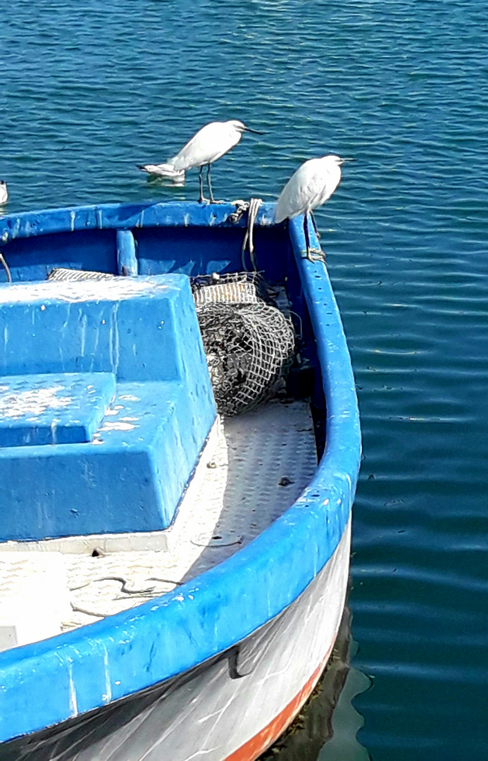 Sur le port de roquetas de mar