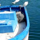 Sur le port de roquetas de mar