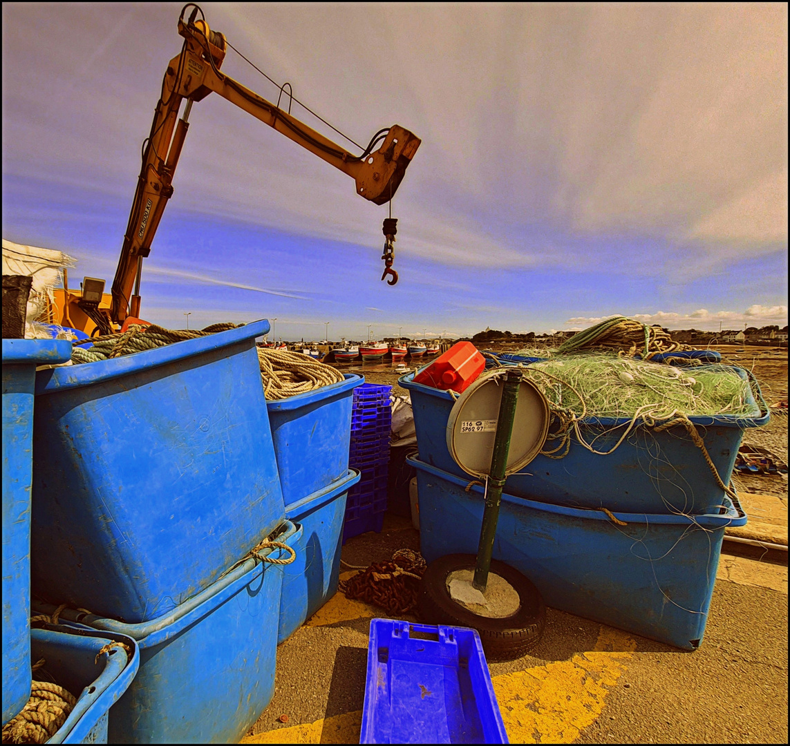 Sur le port de Roscoff (29)