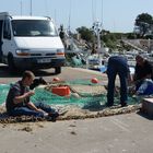 Sur le port de ST Vaast le Houle 