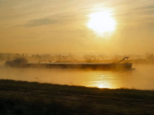 sur le Rhin au petit matin