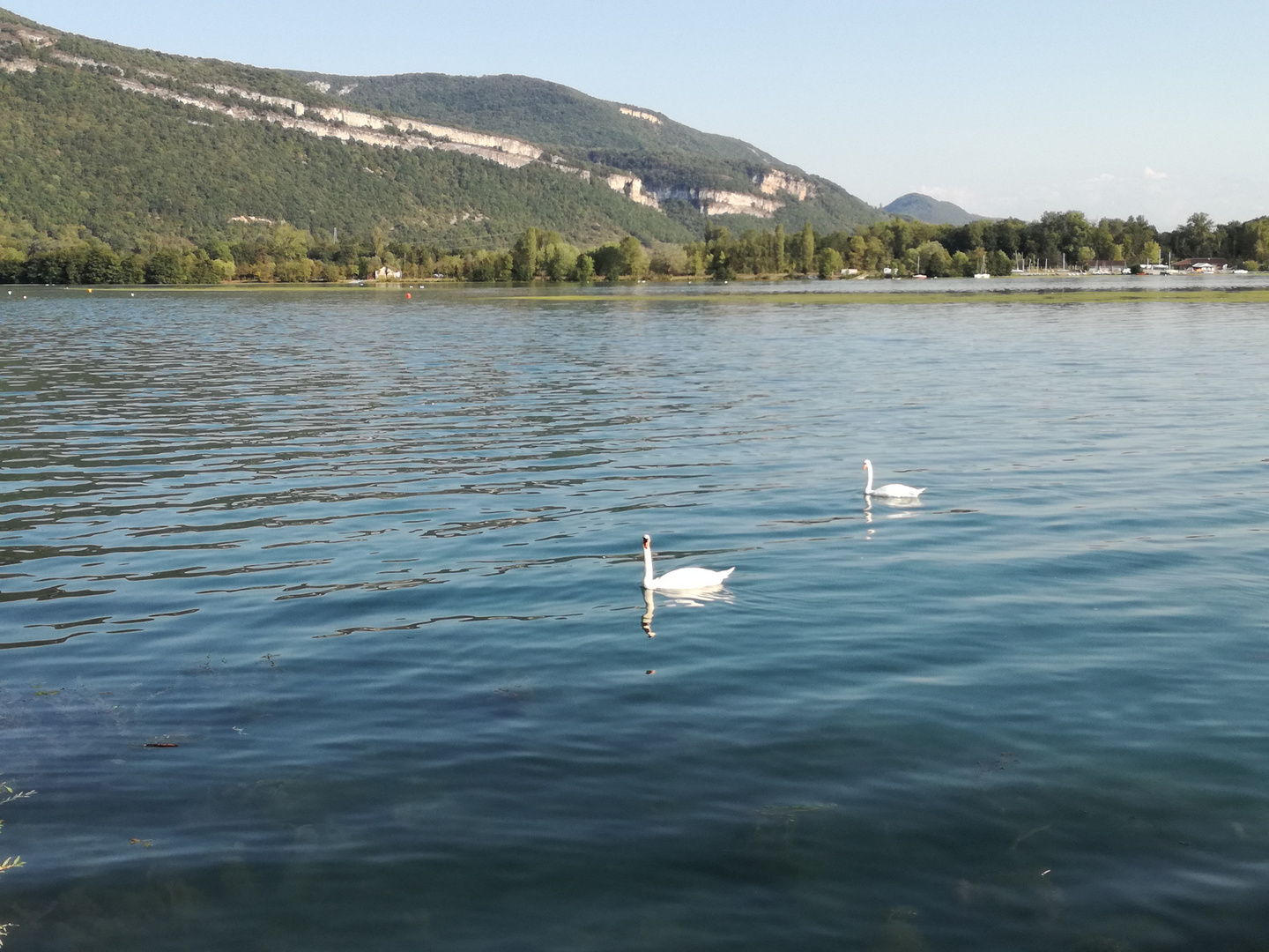 Sur le Rhône ....