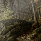 Sur le sentier des crêtes à Frahan