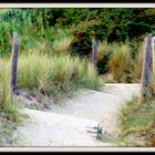 Sur le sentier des dunes