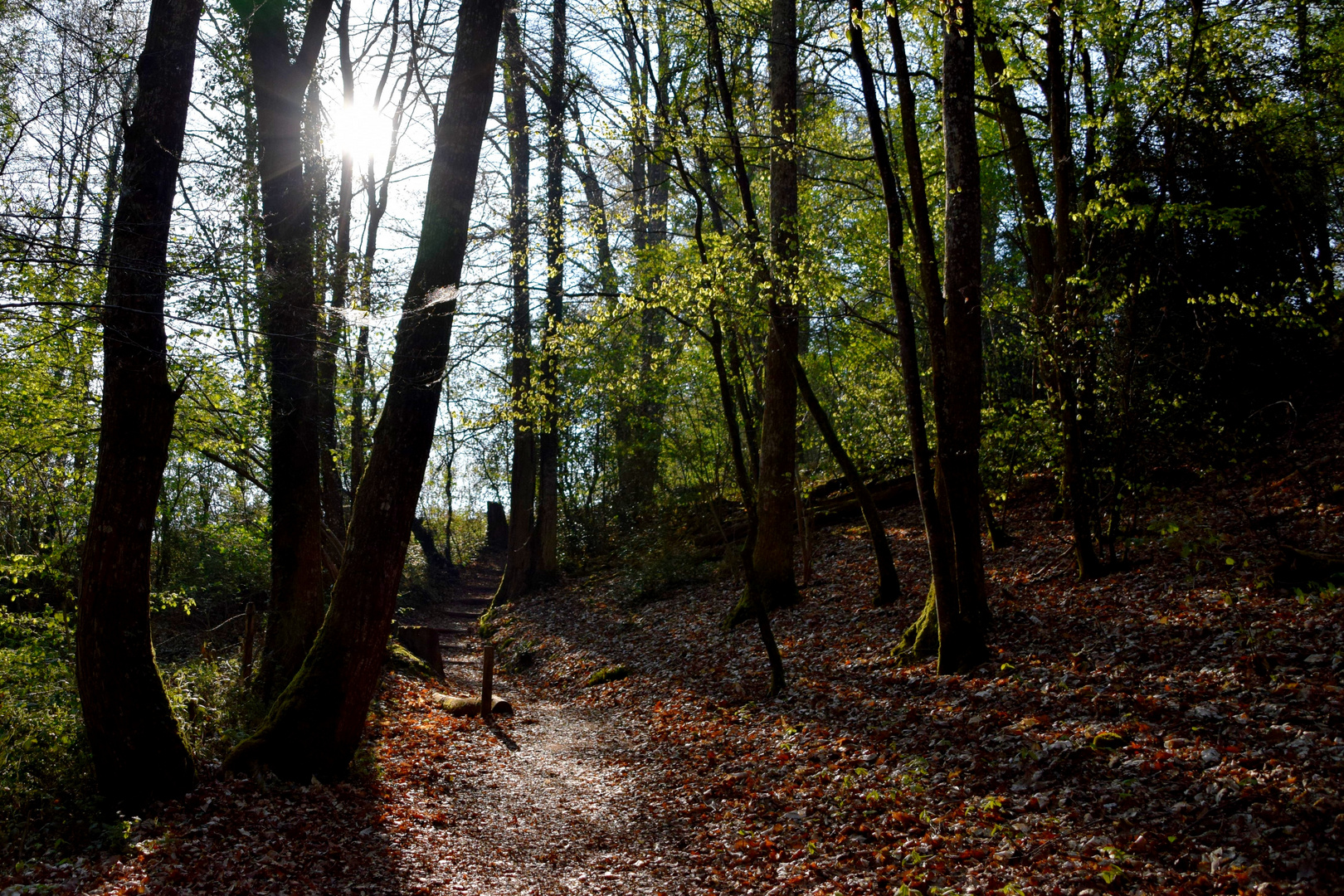 sur le sentier du Granit '' les gorges de la Rouvre ''