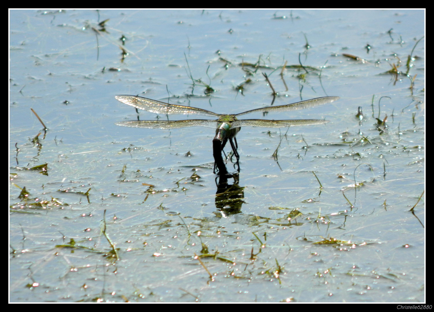 sur l'eau