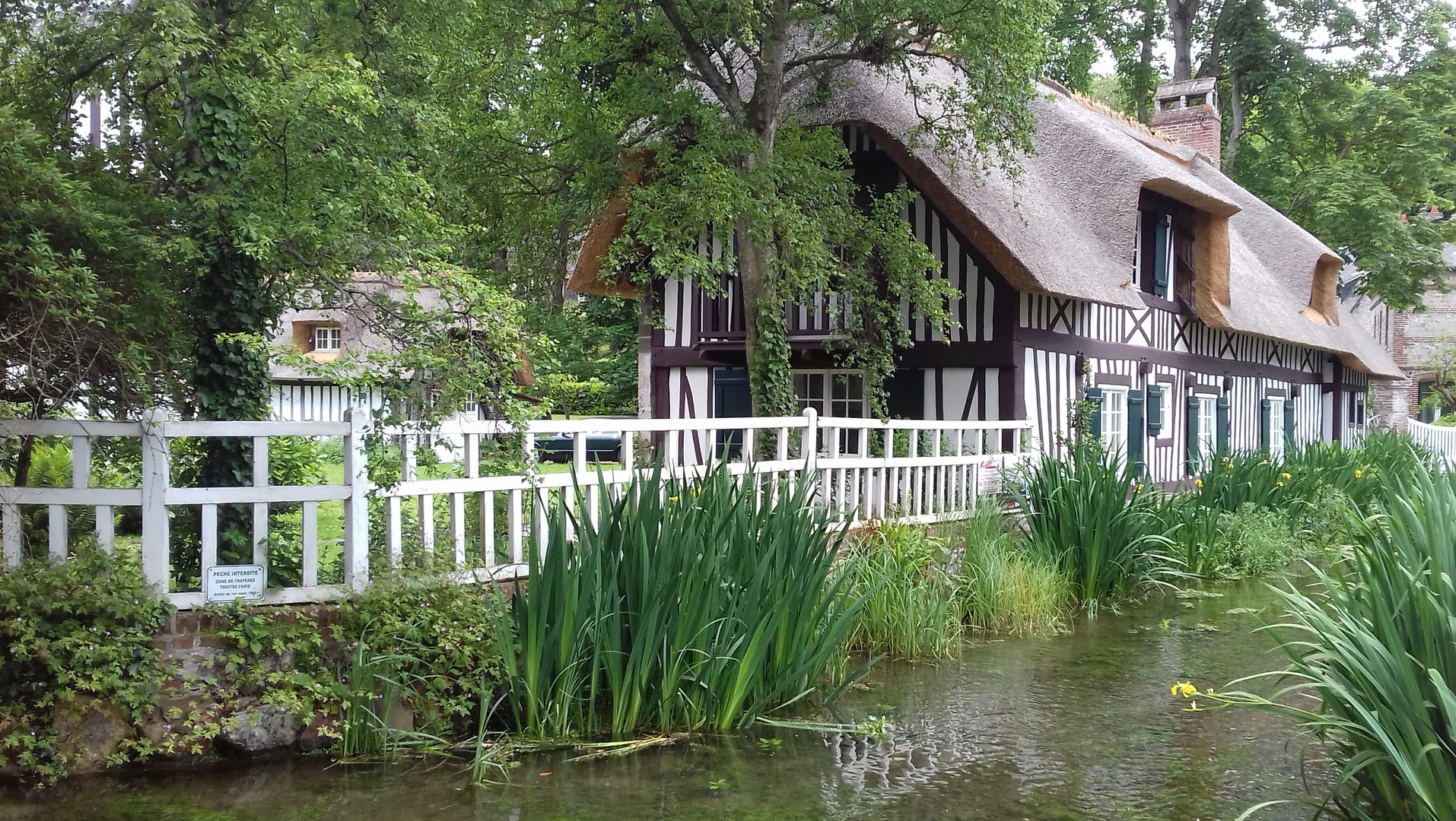 sur les bords de la Veule