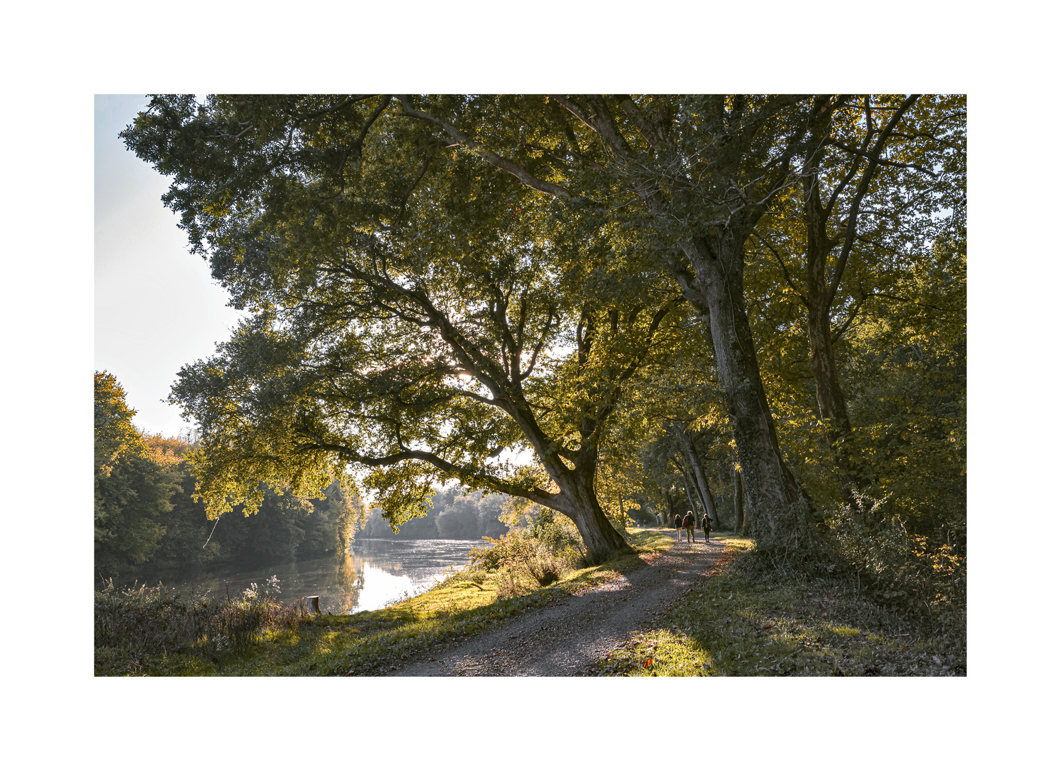 Sur les bords de l'Adour