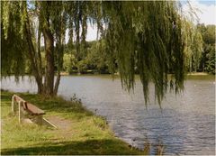 sur les bords de l'étang