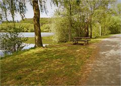 sur les bords de l'étang