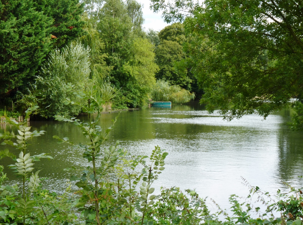 Sur les bords de l'Huisne au Mans (Sarthe) 2