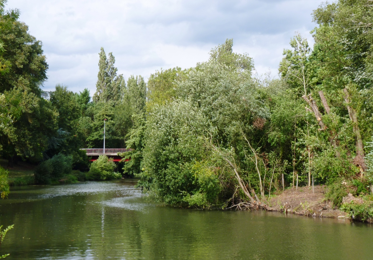 Sur les bords de l'Huisne au Mans (Sarthe) 4