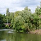 Sur les bords de l'Huisne au Mans (Sarthe) 4