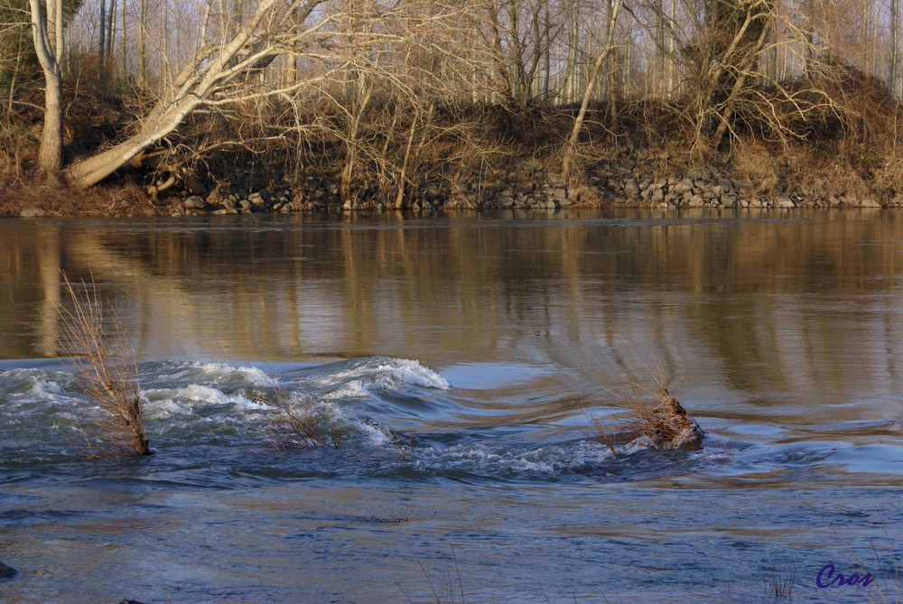 Sur les bords de Loire