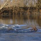 Sur les bords de Loire