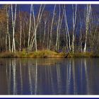 Sur les bords du Lac...