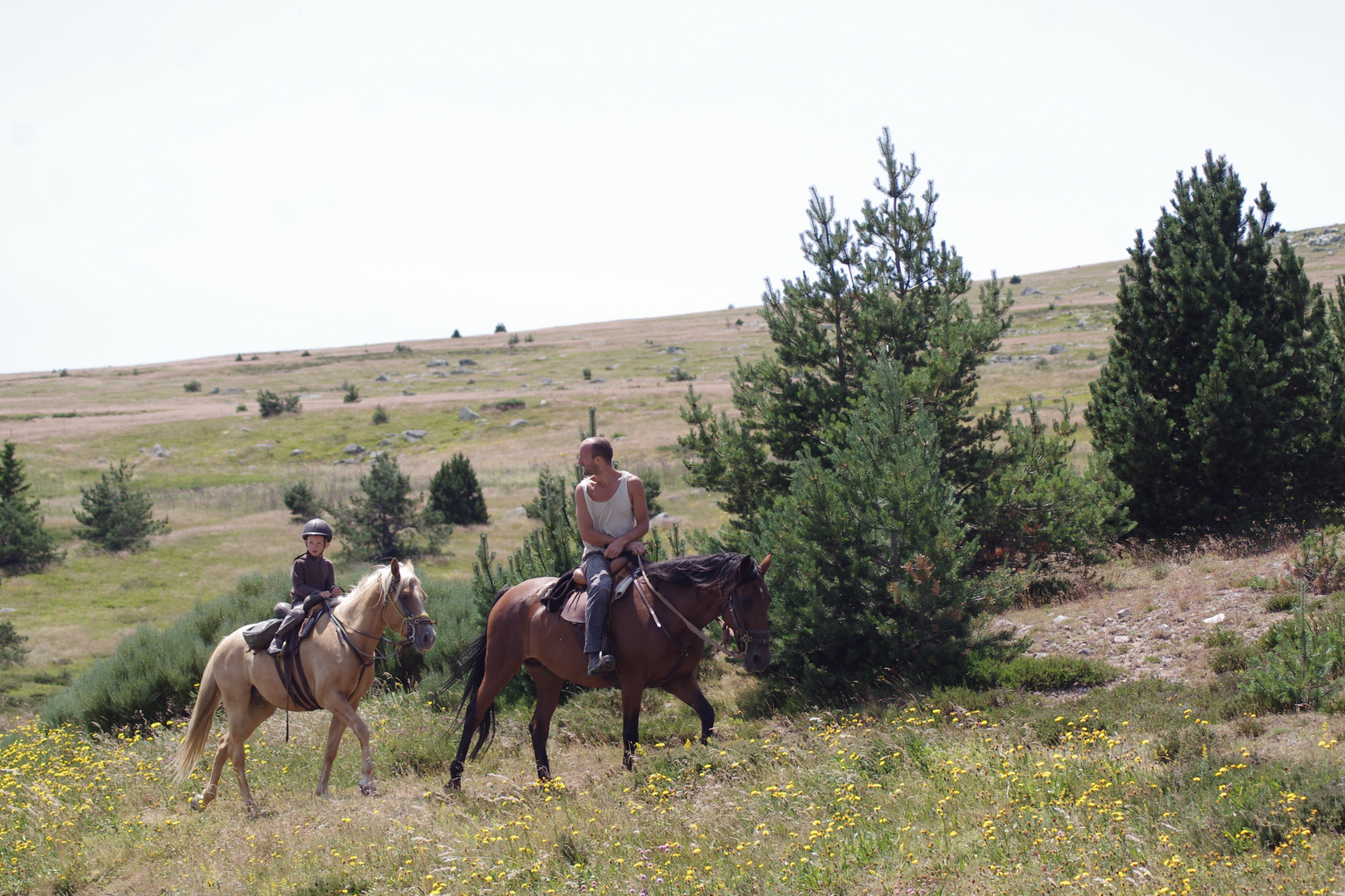 sur les chemins de Stevenson .... 1