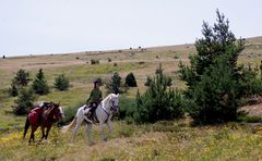 sur les chemins de Stevenson - 2 -