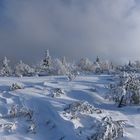 Sur les crêtes Vosgiennes