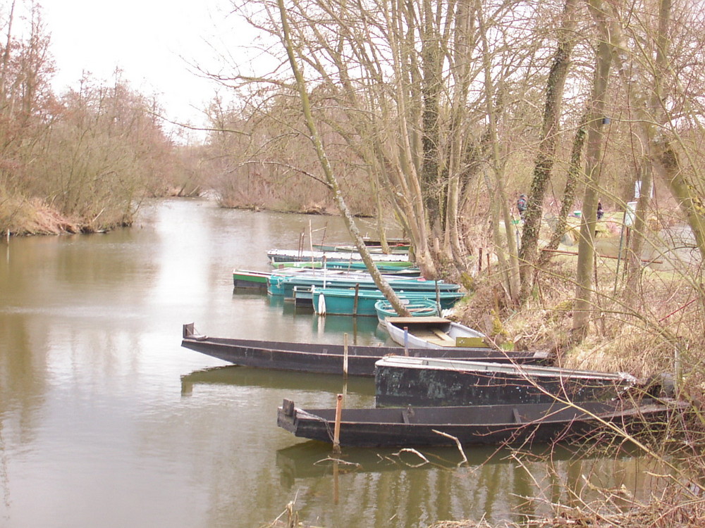 Sur les étangs de la Somme.