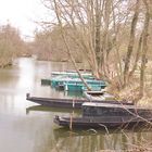 Sur les étangs de la Somme.