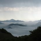 Sur les flancs du Béhorléguy