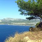 sur les hauteurs de cassis