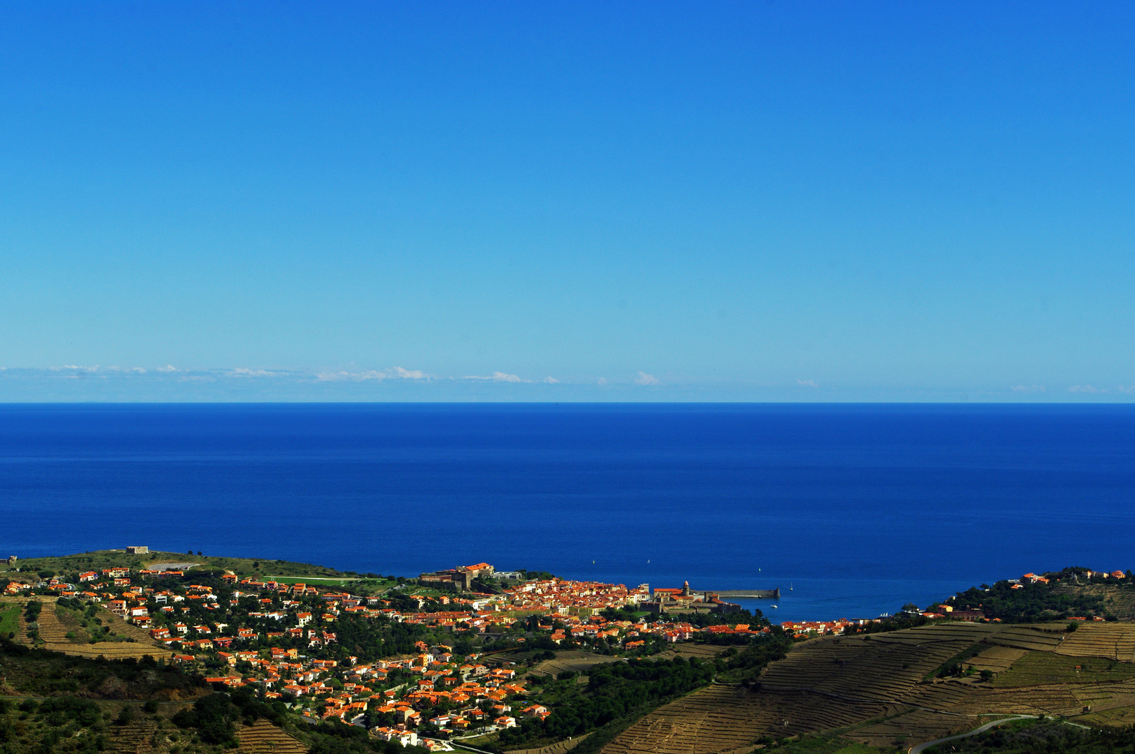 Sur les hauteurs de Collioure II