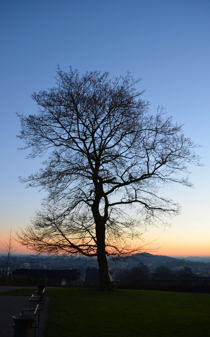 Sur les hauteurs de Mons